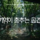 디에이치 이미지