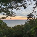 현정이네민박 이미지