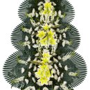 야은로-19 이미지