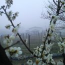 보개농업협동조합 이미지