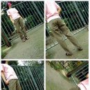 구제바라기 Daum카페