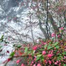 읍내4구 이미지