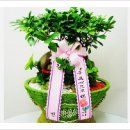 영신종합철물