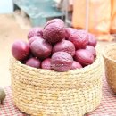 두리농장 이미지