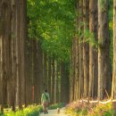 난지천1(난지주차장) 이미지