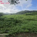 구산면693 네이버블로그