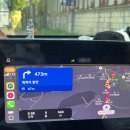 수목원 | 튤립 구경하러, 파주 벽초지수목원 다녀온 후기