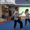 찬란한 태권도 이미지