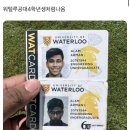 워털루