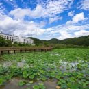 정양농장 이미지