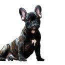 다온수산 이미지