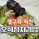 옆구리터진올레김밥 | [여름 식단] 옆구리 터져서 깨달은 썰지않는 오이참치김밥 초간단 레시피 (저속노화 식단)