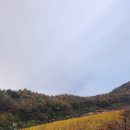 봉양농협노동조합 | 농사를 몰랐던 처녀가 농부 십 단이 된 박미자