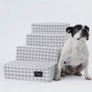 쿨 퍼피 이미지