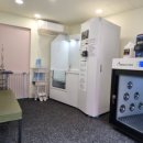 돈워리독 이미지