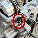 TM모터스 이미지