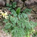 기정농장 이미지