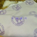 스타세탁·수선 이미지