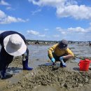 바닷가에서 이미지