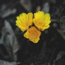 찬물내기