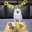 두드림유통(멍스마트) | 우리 집 최강 귀요미 화이트 포메라니안 보리의 3번째 생일