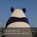 칼 로저스, "자신을 좋게도 나쁘게도 말해서는 안 되는 이유" 이미지