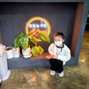 60계치킨 | 오늘 저녁은 치킨이다 🍗 산책 후 즐긴 60계치킨 후기