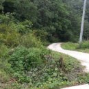 룩스글램핑앤팜 안동펜션 이미지