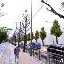 계림초등학교 후문 뉴스1