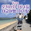 이동욱스시 | 오키나와 3박 4일 17개월 아기와 둘째 태교여행 일정 경비 이유식 준비물 에어비앤비 숙소