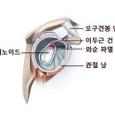 춘양삼성의원