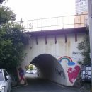 굴다리산곰장어 이미지