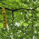 기계봉좌마을 이미지