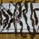 봉곡동142 이미지