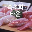 속초회타운 이미지