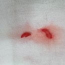 오션시티치과병원 이미지