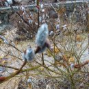 박달3리 이미지