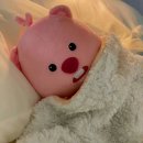 이상덕 | 코물혹 이야기 3 - 역삼 하나이비인후과 이상덕 원장님 수술 후기