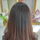 상남동242 이미지