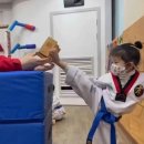 용인대 효 도장 이미지