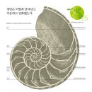 지구사