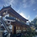 추산노을빛 | 바다를 품은 울릉도 숙소 ‘추산노을빛펜션’ 프리다이빙 &amp; 해산물 라면 후기