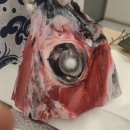 김상현참치 이미지