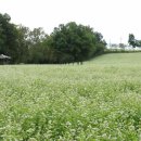 물돌이농장 이미지