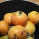 조흥농장 이미지