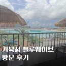 웨이브프라자 | 블루웨이브커피 시흥거북섬웨이브파크점 방문 솔직후기