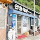 뉴아리랑카서비스 이미지