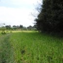 전대1리마을회관 이미지