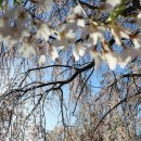 (주)디시에스 이미지