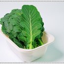 포화로 817 이미지